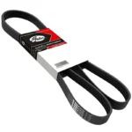 CORREIA GATES 5PK1175