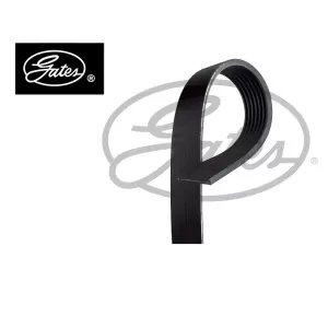 Correia alternador GATES 7PK1125 aplicação March Versa Megane motor 1.6