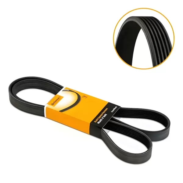 CORREIA ALTERNADOR CONTITECH 5PK955 vista frontal