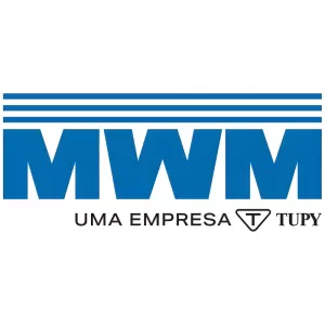 Selo do bloco do motor 36 mm Sprint 4 Cil. MWM 7002905C1E - Imagem 5