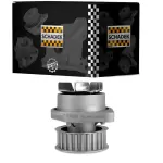 BOMBA D’ÁGUA SCHADEK 20.089 com polia 27 dentes