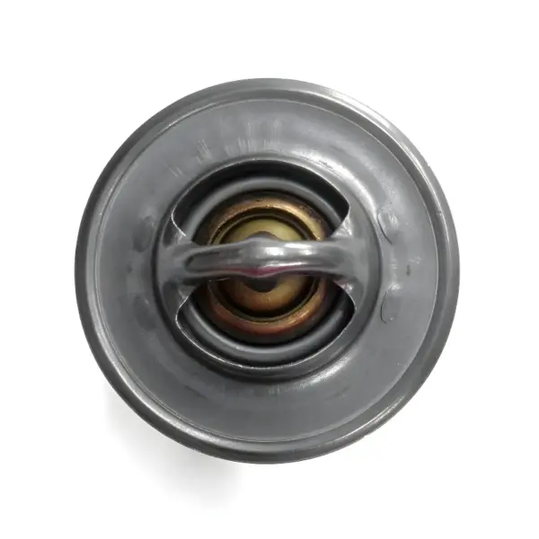 “VÁLVULA TERMOSTÁTICA MMVT288.80 MAGNETI MARELLI – DETALHE DA JUNTA”